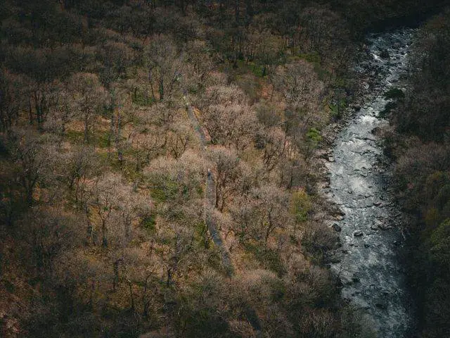 Bikepacking Scotland loch lomond