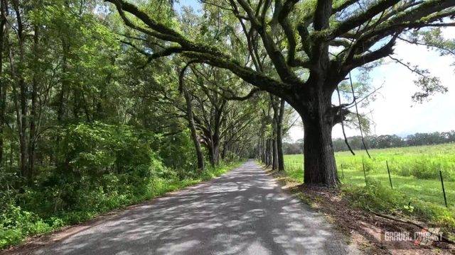 cycling in the heat of summer