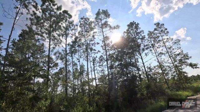 type 1 cycling fun north florida