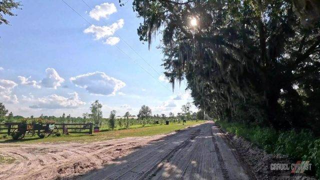 type 1 cycling fun north florida