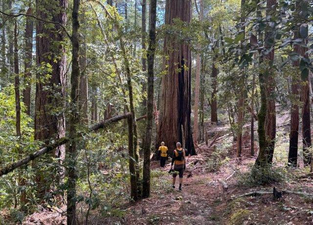 Oregon Coast Insider View of Gravel Cycling