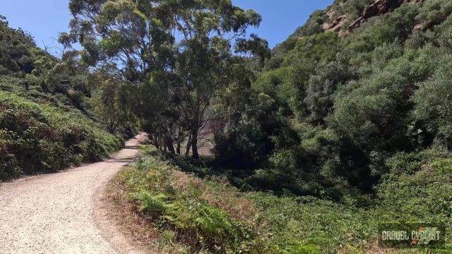 adelaide hills gravel cycling