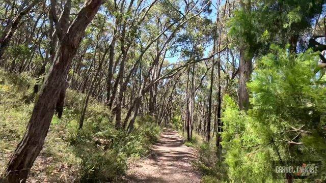 adelaide hills gravel cycling