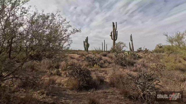 gravel cycling in the sonoran desert