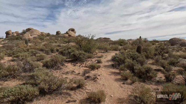 gravel cycling in the sonoran desert