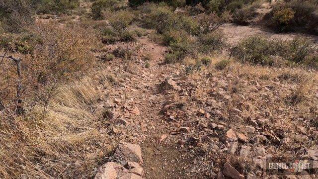 gravel cycling in the sonoran desert