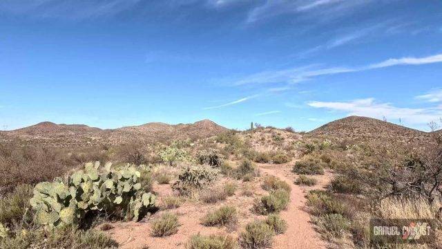 gravel cycling in the sonoran desert