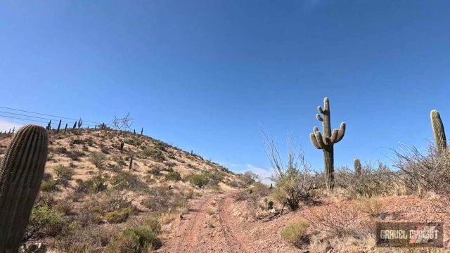 gravel cycling in the sonoran desert