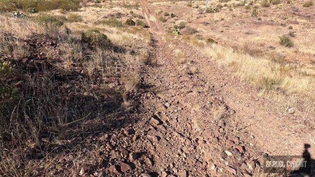 gravel cycling in the sonoran desert