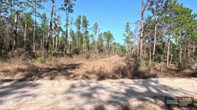 gravel cycling in citrus county