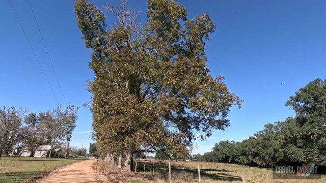 riding gravel around northwest florida