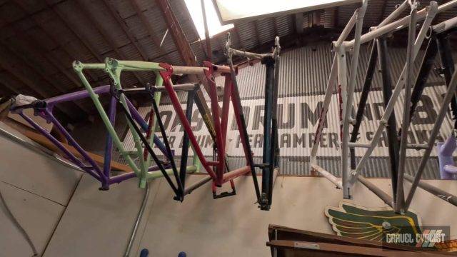 rock lobster bicycles tour