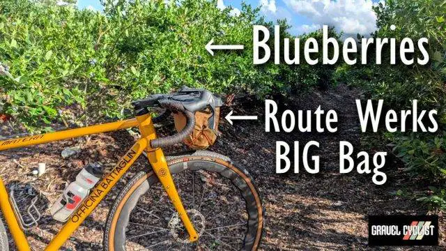 blueberry picking by bicycle