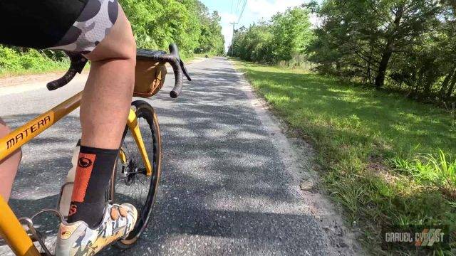 blueberry picking by bicycle