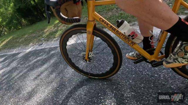 blueberry picking by bicycle