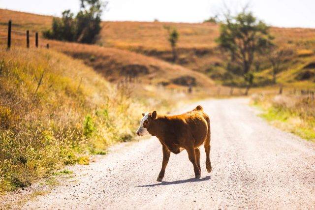 great plains gravel route