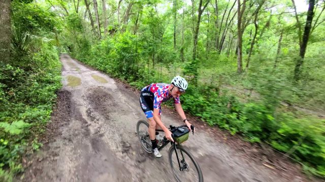parlee taos review