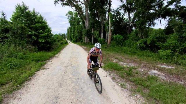 parlee taos review