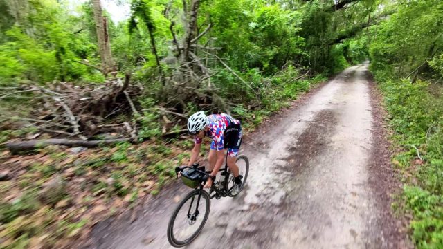 parlee taos review