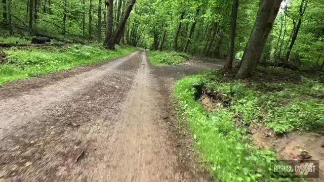 2025 roughneck gravel roubaix
