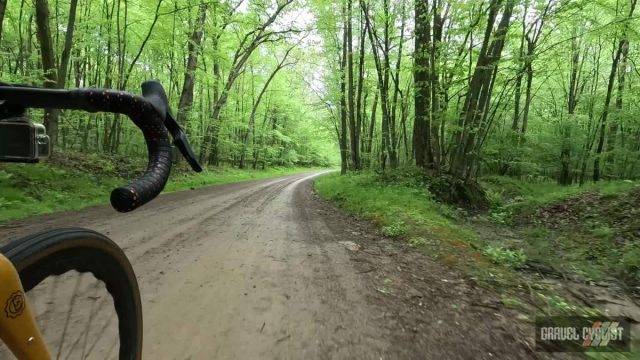 2025 roughneck gravel roubaix