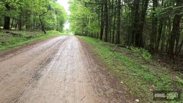 2025 roughneck gravel roubaix