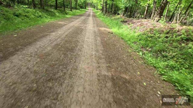 2025 roughneck gravel roubaix