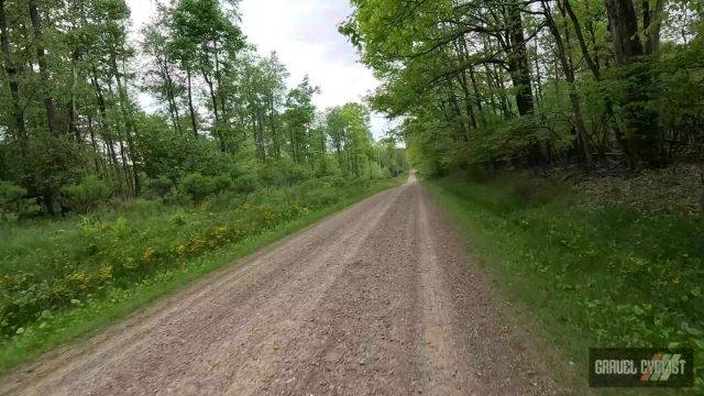 roughneck gravel roubaix 2025