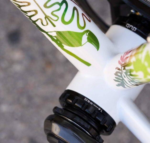 Scarab Cycles Páramo Gravel Bike review