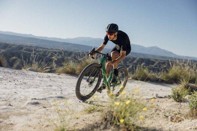 Wilier Triestina Rave SLR ID2 review