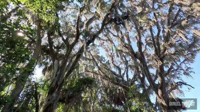 100 Degrees in the Shade Cycling