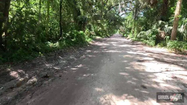 100 Degrees in the Shade Cycling