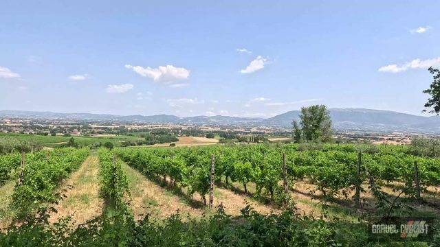 foligno to perugia cycling experience