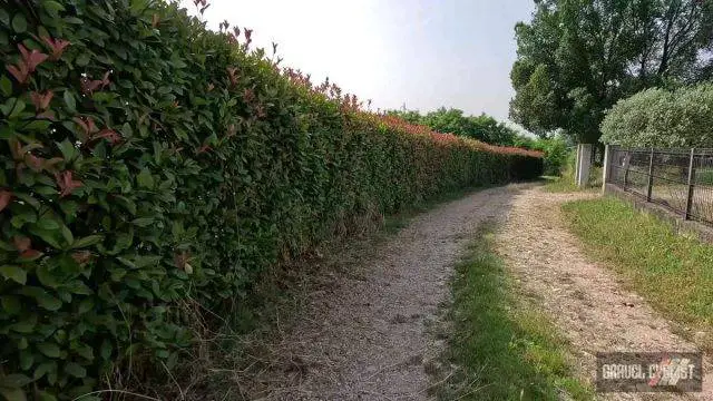 marostica italy cycling