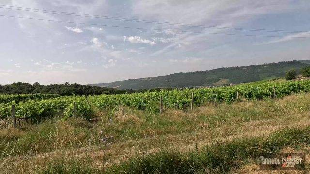 Gravel Cycling near Orvieto Italy