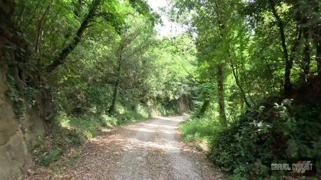 Gravel Cycling near Orvieto Italy