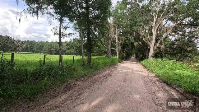 cycling the hinterlands of north florida