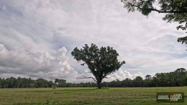 hinterlands of north florida