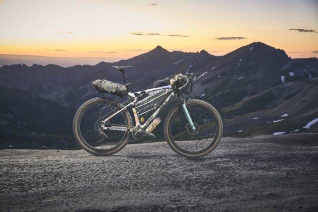 trek checkout review 2025