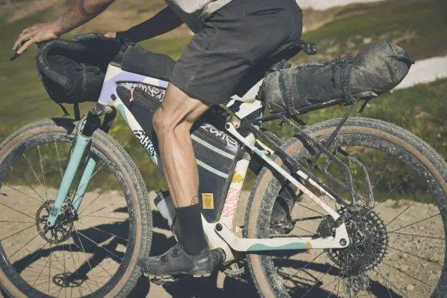 trek checkout review 2025