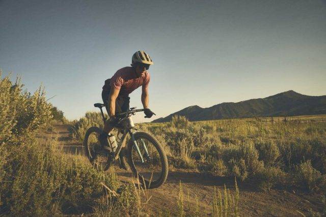 trek checkout review 2025