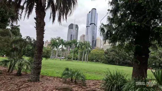 brisbane cycling tour