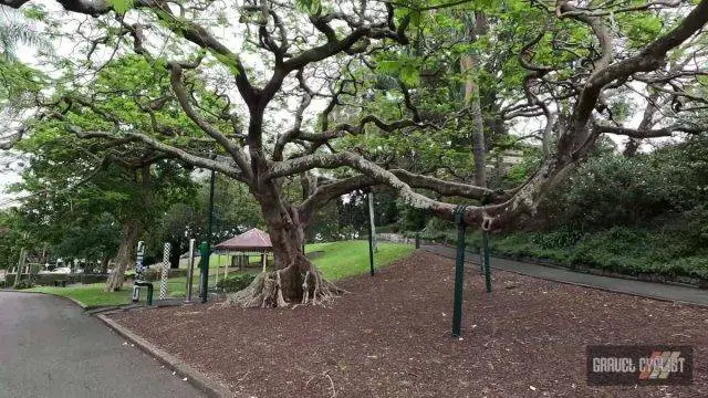 brisbane cycling tour