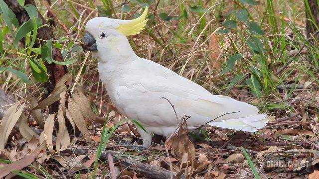 dirty brisbane ride queensland australia