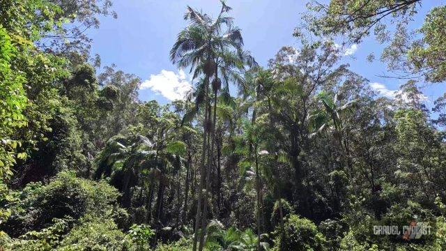 Cycling in the Glass Mountains Queensland