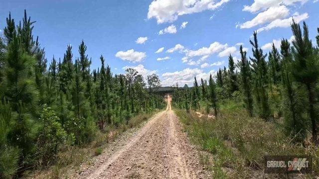 Cycling in the Glass Mountains Queensland