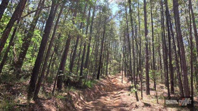 Cycling in the Glass Mountains Queensland