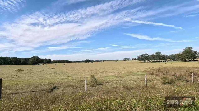 north florida gravel cycling