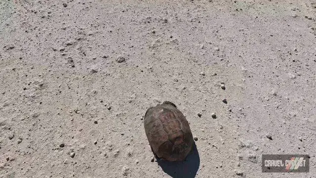 north florida gravel cycling