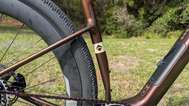 ari shafer 3.0 review